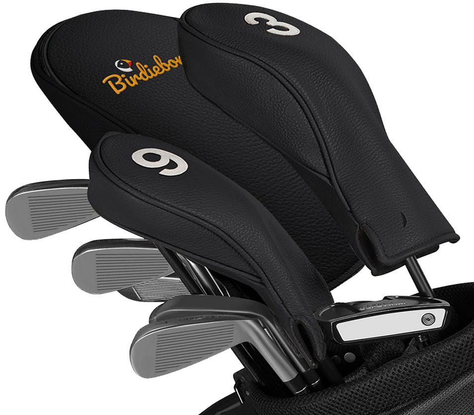 Birdiebox with headcover in golf bag