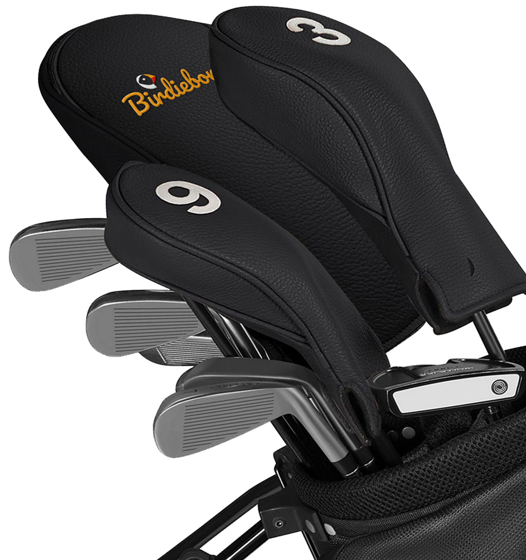 Birdiebox with headcover in golf bag